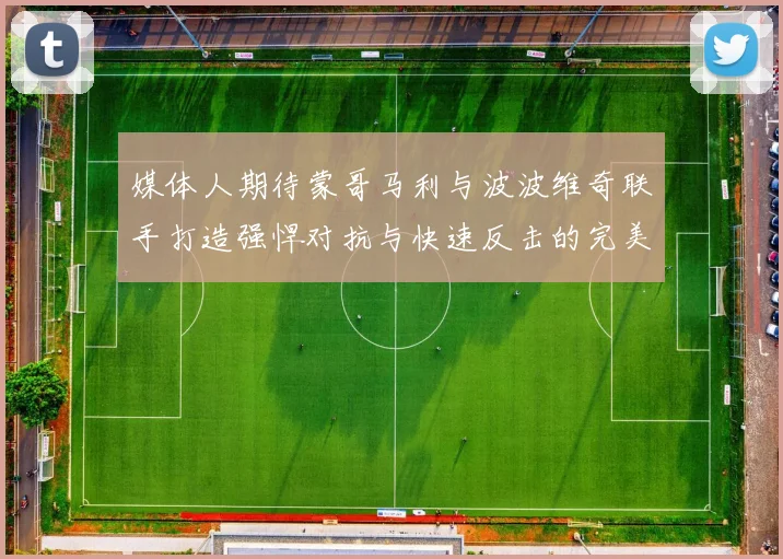 媒体人期待蒙哥马利与波波维奇联手打造强悍对抗与快速反击的完美结合